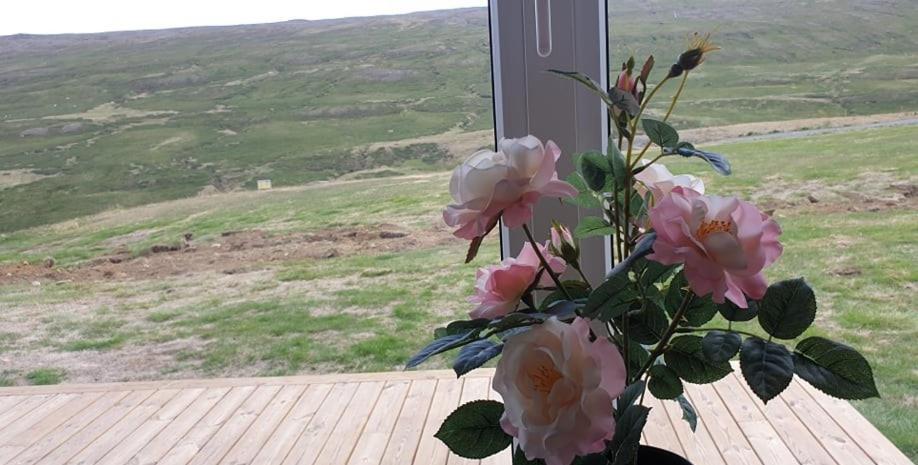 Studlagil Canyon Country Home Grund Eksteriør bilde